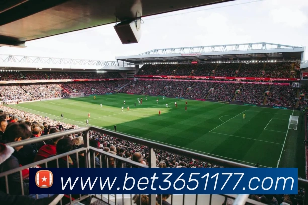bet365中国官网APP 封面图